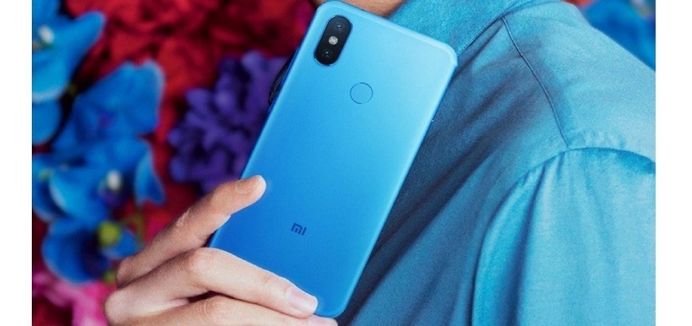 яркий и привлекательный корпус