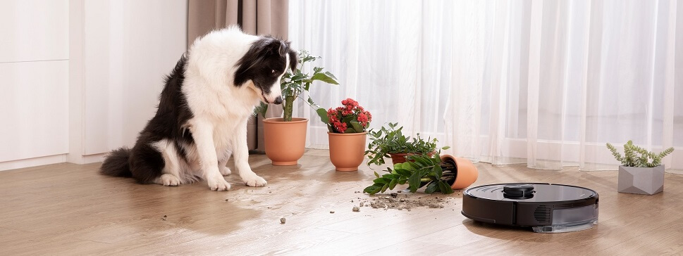 мощный пылесос